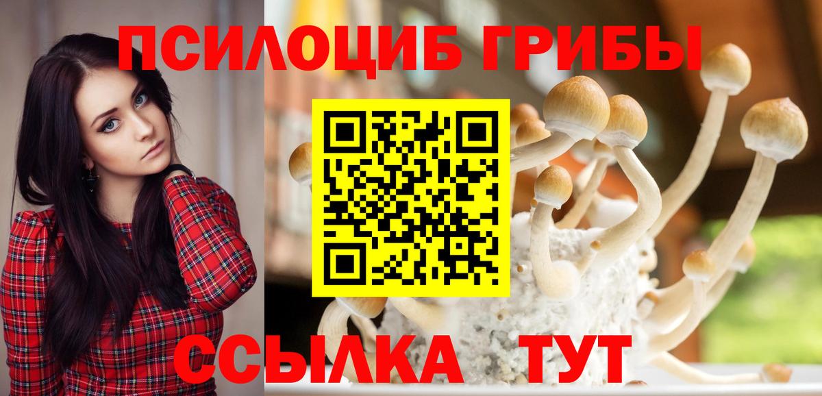 Великий Новгород  Галлюциногенные грибы мицелий  Вход с VPN 